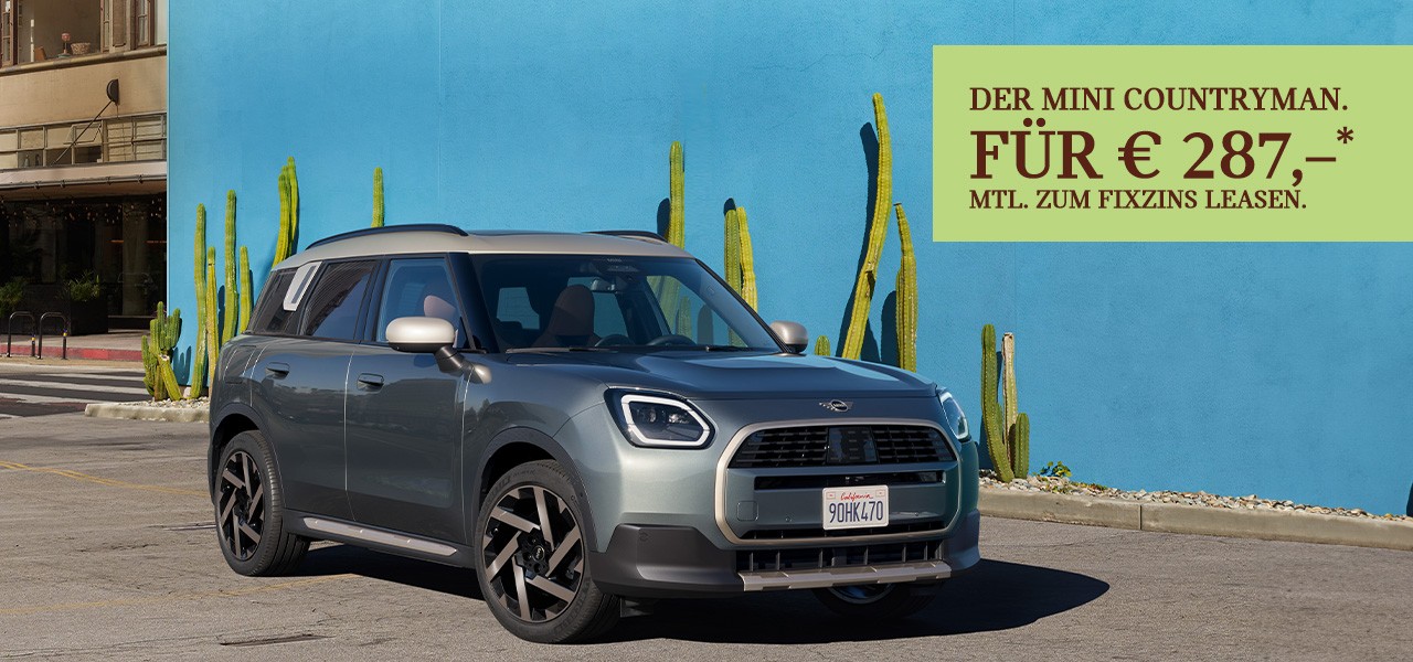 DER MINI COUNTRYMAN